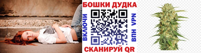 Купить где  Юрьевец  Конопля MAZAR 